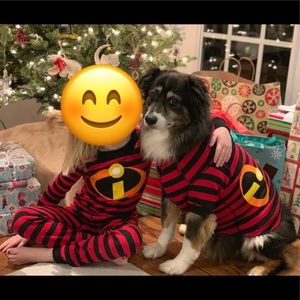 Disney Incredibles Hanna Andersson PJs